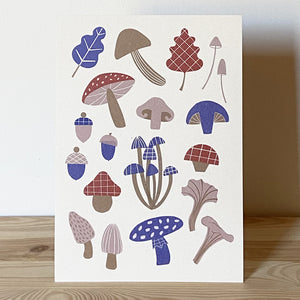 Poster A4 Funghi